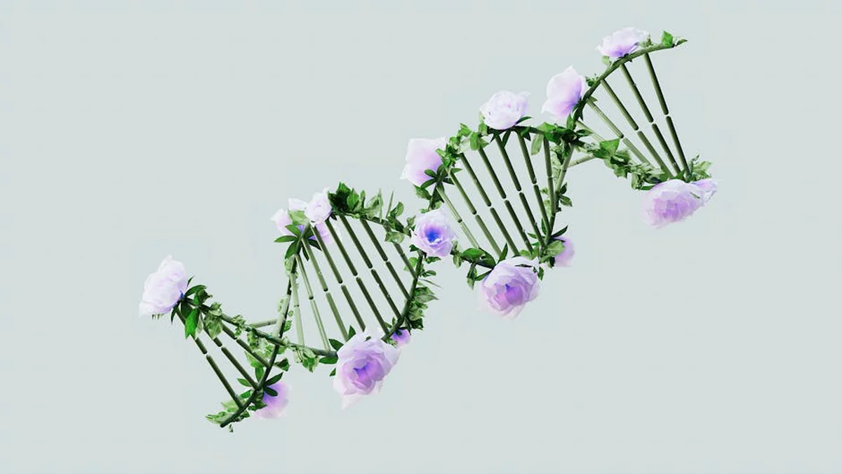 The state archives are expected to be digitized into DNA capsules: the first one is the March 11th Act