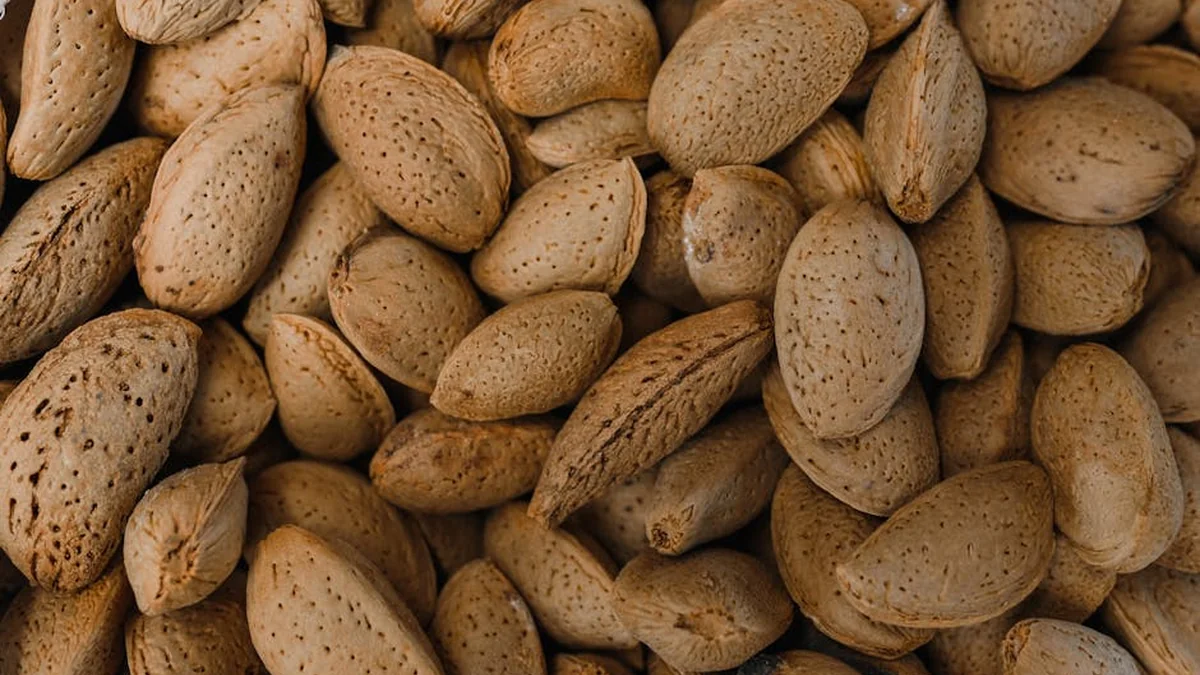 7 products with more magnesium than oats
