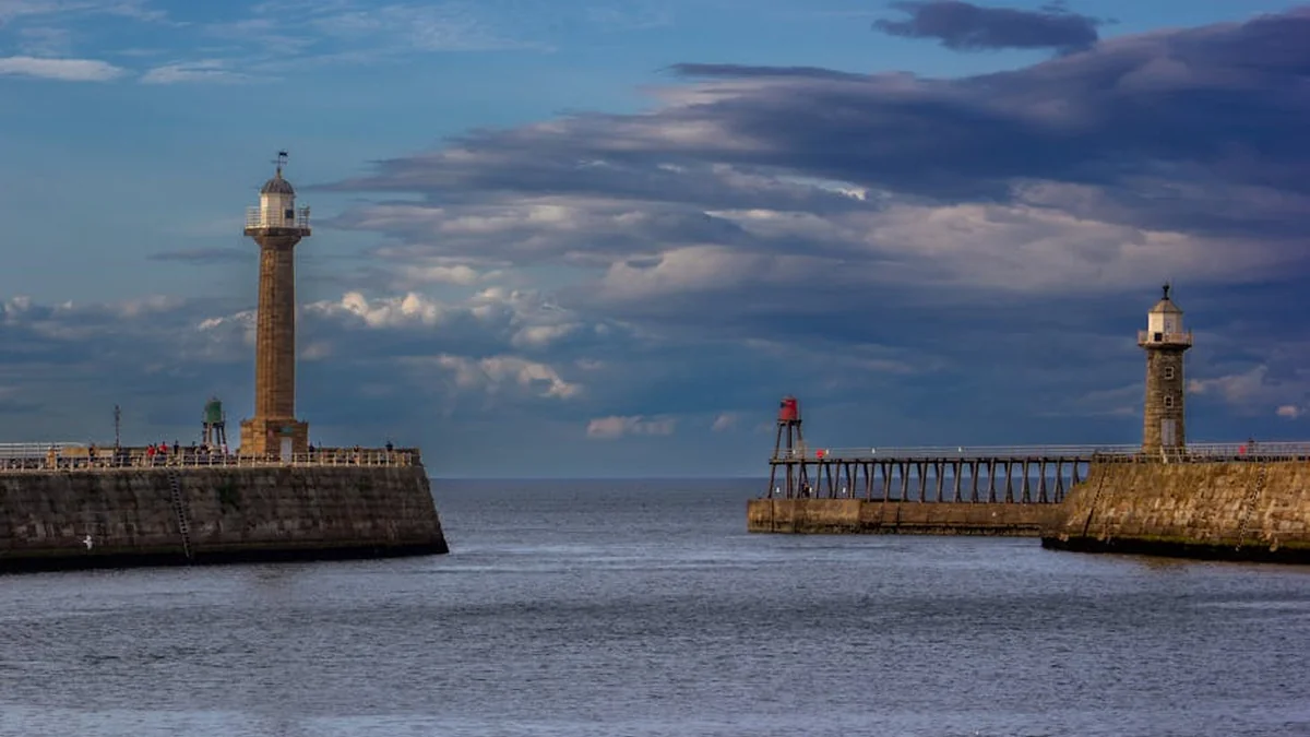 A tragic sight can be seen on the Baltic coast: the tragic fate befell not one but many