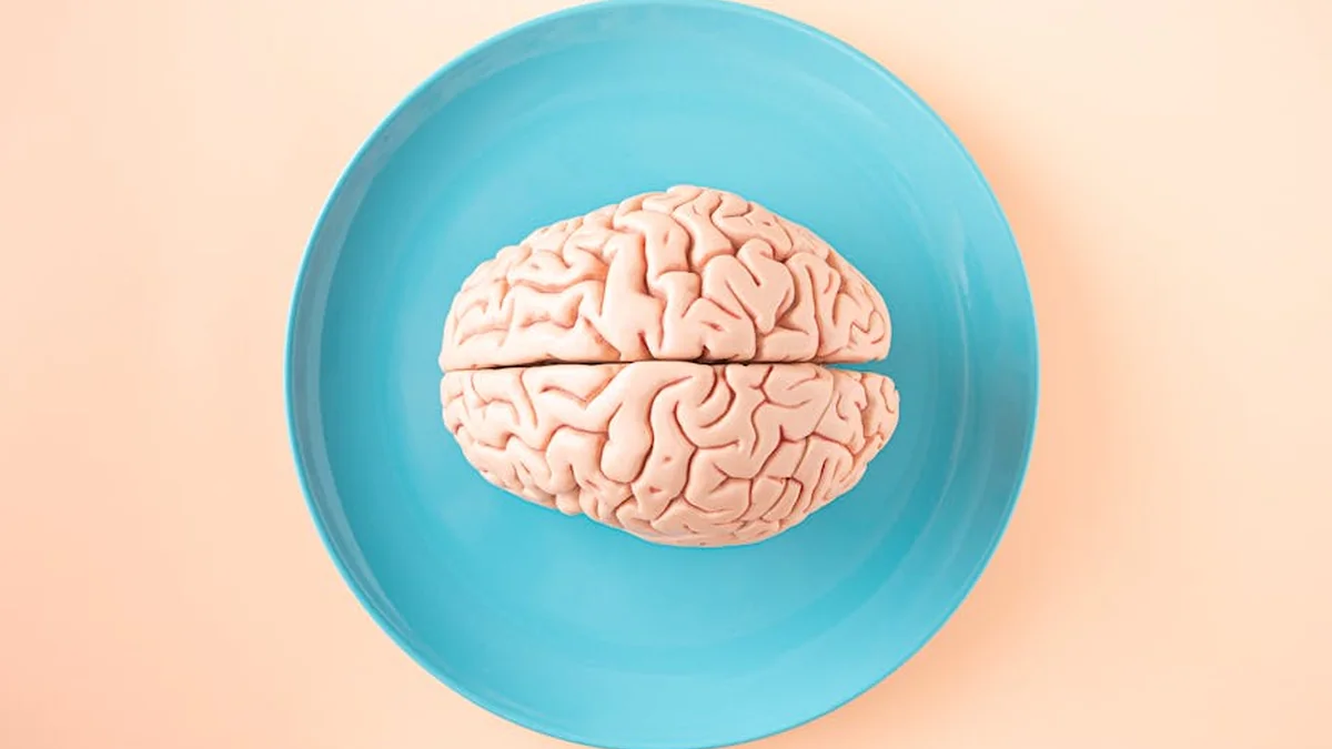 If we become smarter, why do our brains shrink?