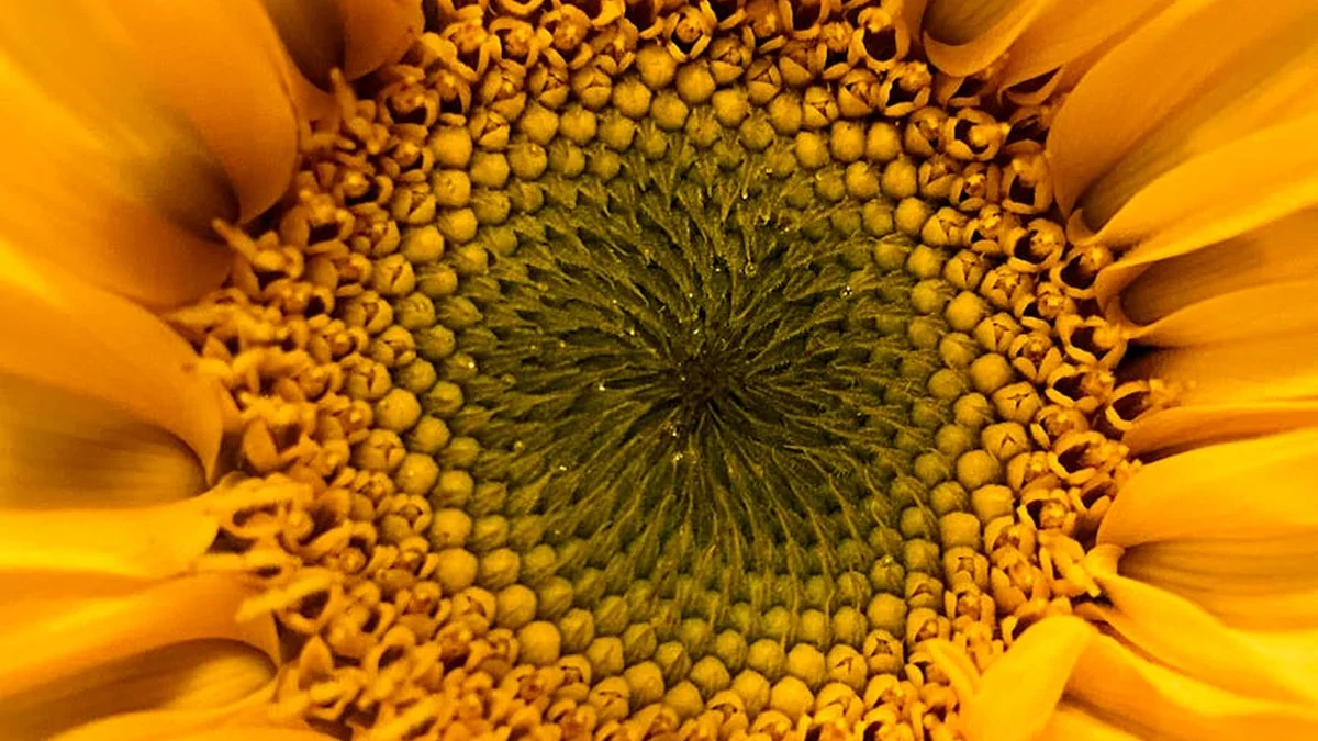 In Vilnius, they are building the most advanced cell therapy center in the Baltic region and investing in the production of new-generation anticancer drugs