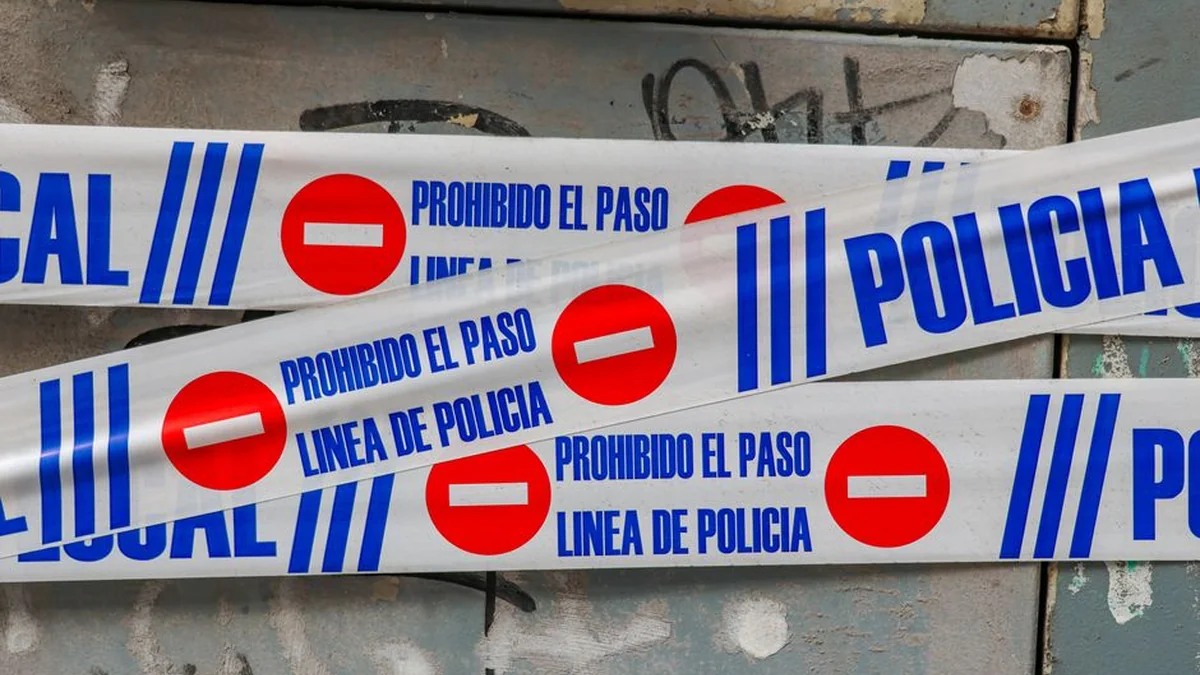 Police announce the biggest expected raid: when it will take place and what will be checked(2)