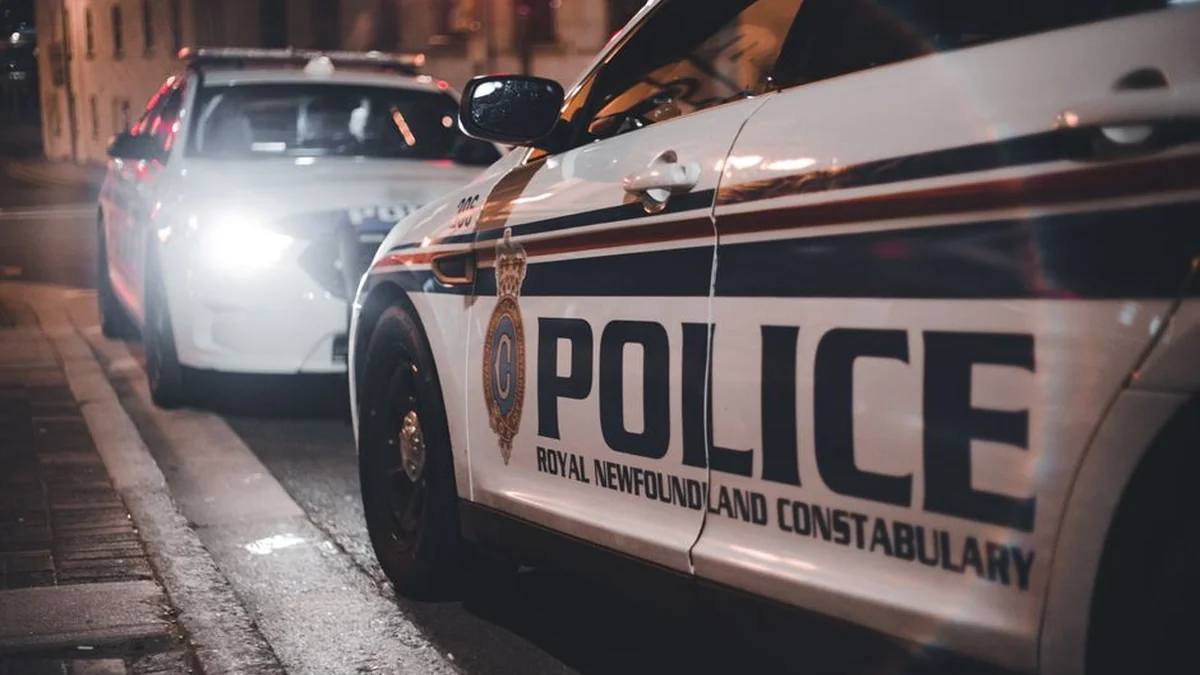 Two drunks from Varėna district fought – both slept in the police station