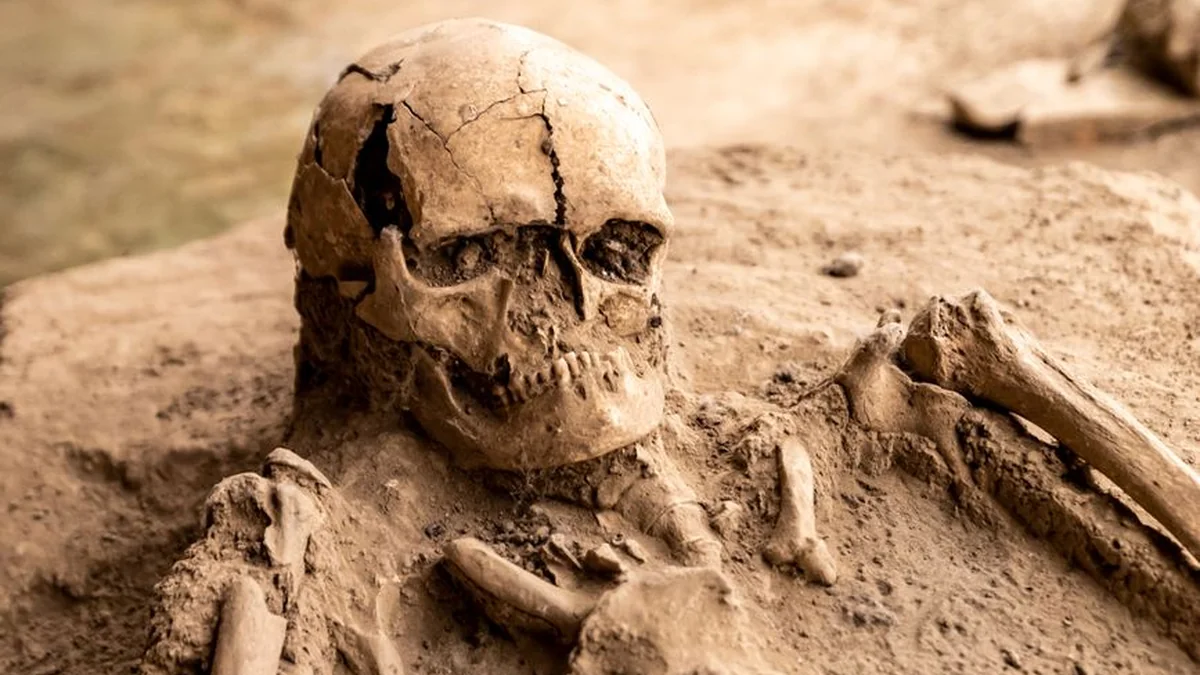 Using AI, to decode the scrolls buried in the Vezuvian volcano, which is 2,000 years old