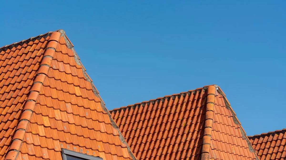 Aviliai on the roofs of “Iki” stores: experts explained why the city is also suitable for beekeeping