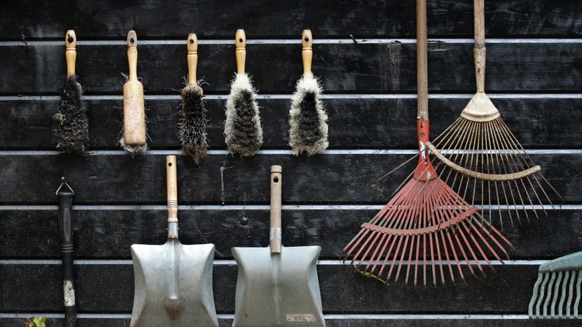 Garden equipment conquers yards, but experts warn: many make this mistake