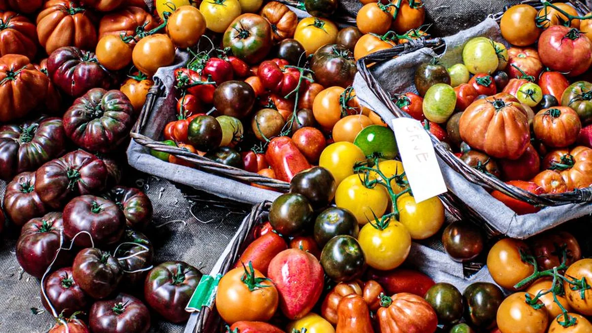Homemade tomato sauce: you will not only flavor dishes, but also spreads, soups