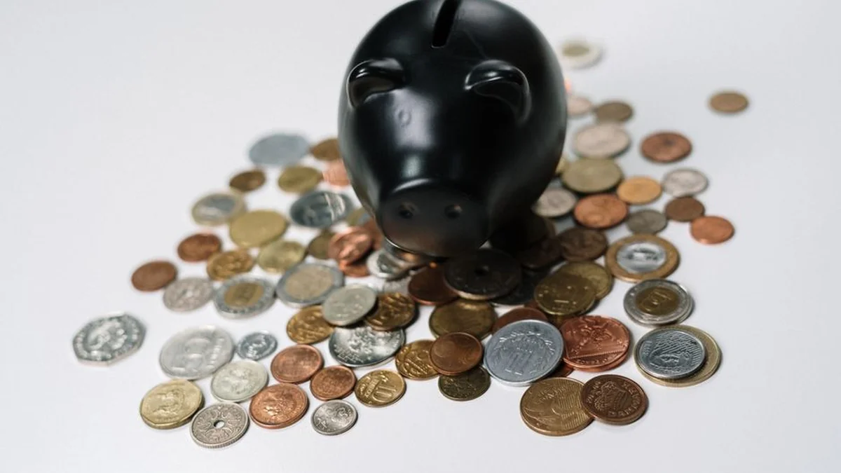 It revealed what kind of return people received who decided to stay in the second pension stage
