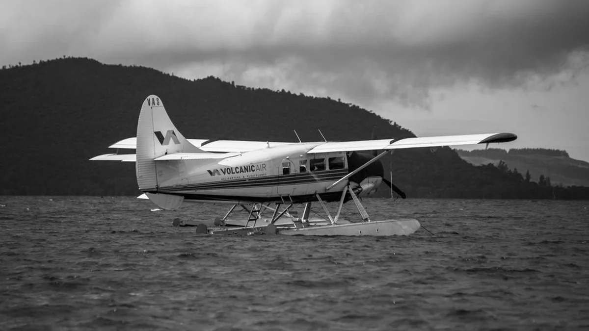 K. Budrys believes that the new plane for Lithuanian leaders is a necessary purchase