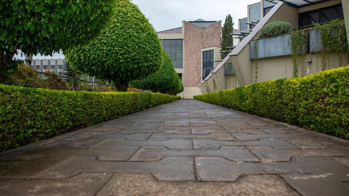 Landscape design changes not only the image, but also the quality of people’s lives