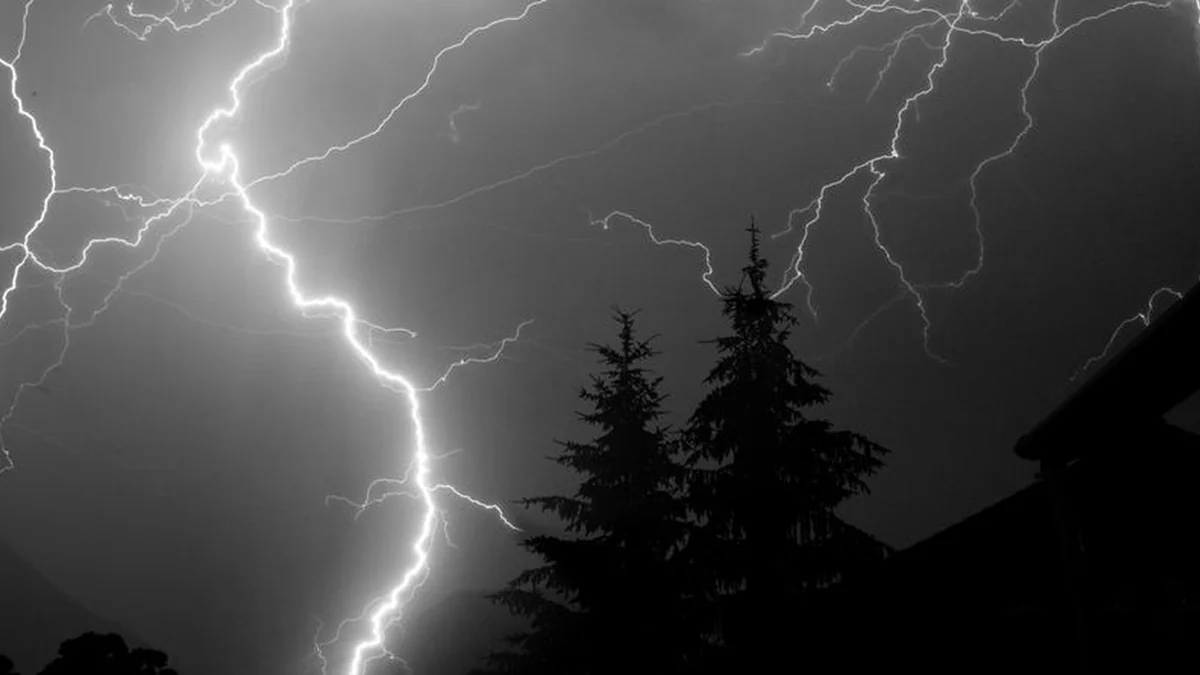 Lightning struck a tree in Kaunas’ Dainų slėnis: injured person