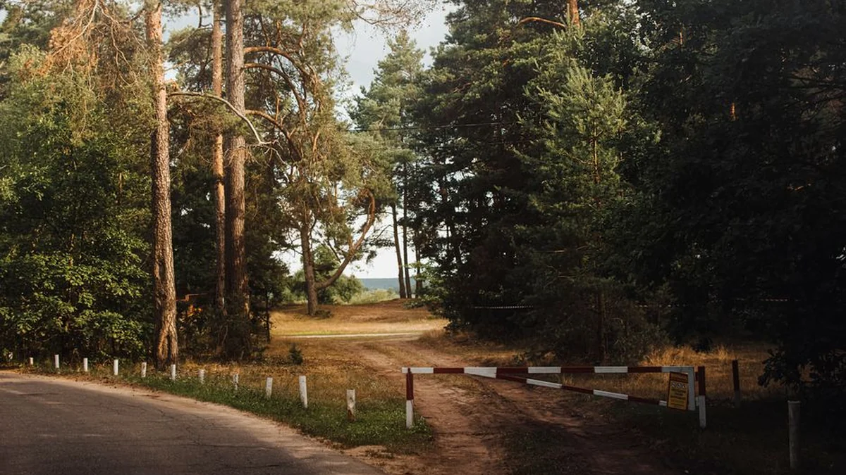 On the Lithuanian border with Belarus – calm night: no irregular migrants detected