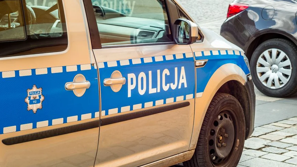 Police are releasing a suspect in the theft of the Radziwiłł Palace and are asking for help