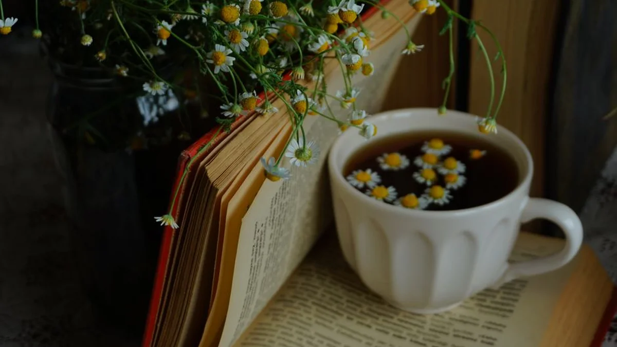Popular herbal tea improves kidney function, reduces swelling and emotional fatigue