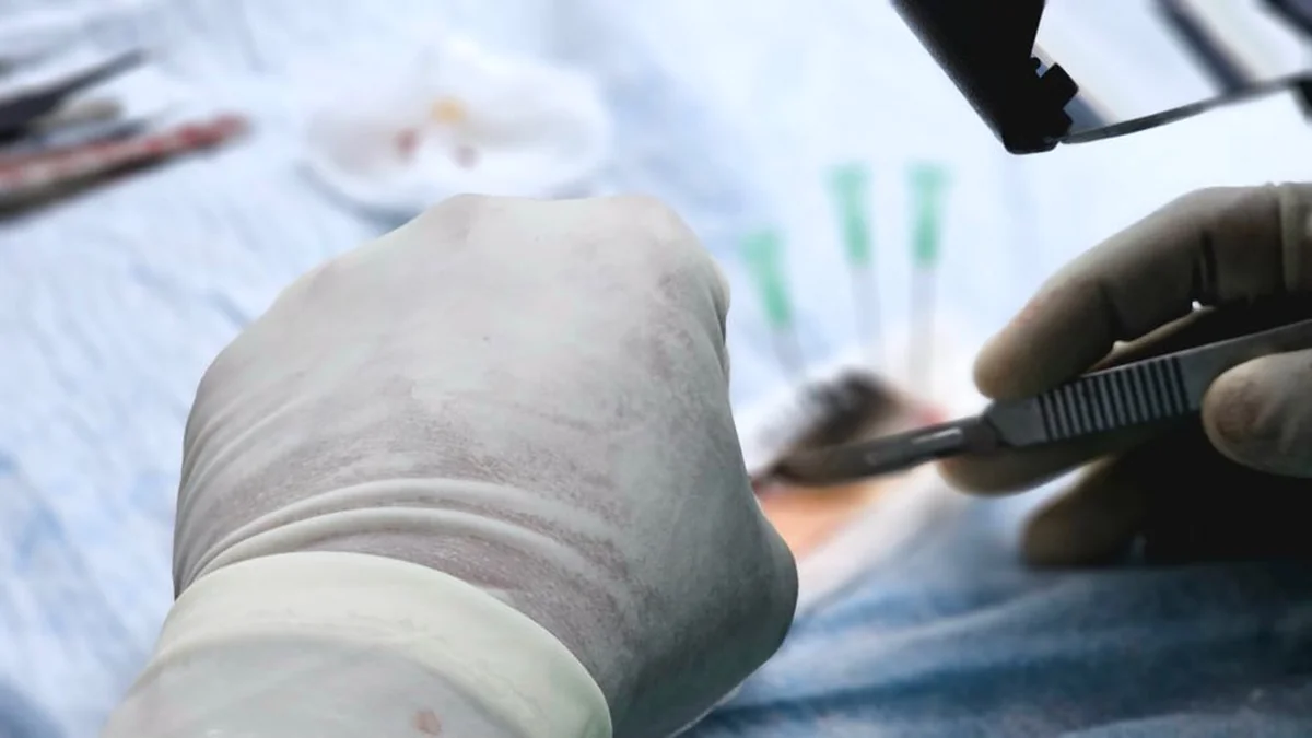 The 800th kidney transplant was performed at Kauno klinikos