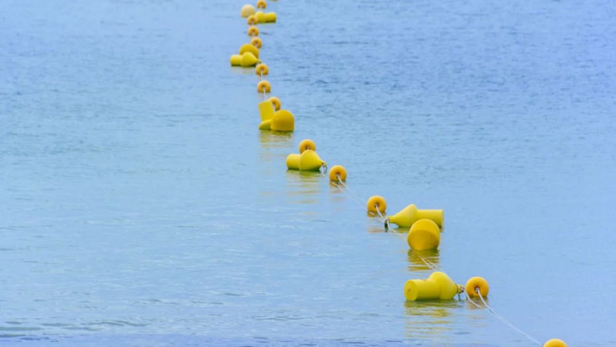 Warning for Vilnius residents: it is better not to swim in these lakes these days