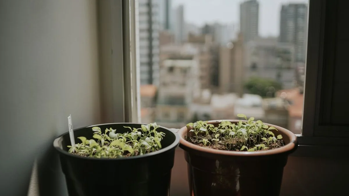Will vegetables be grown in the future by artificial light instead of the sun?