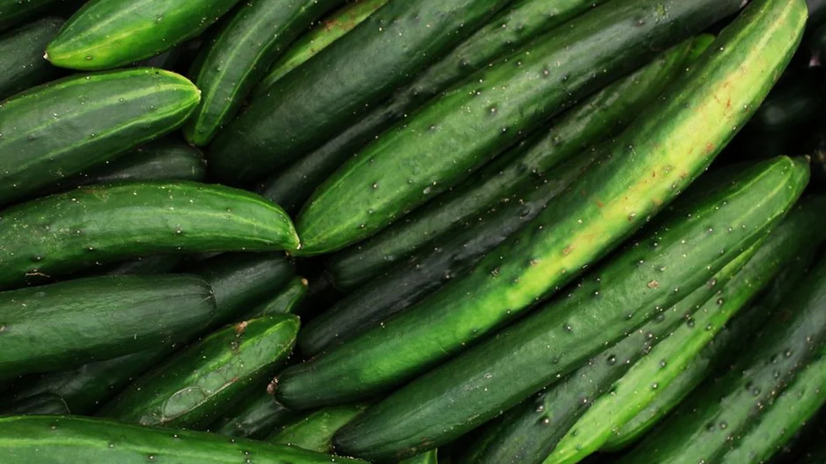 Plant these plants as far away from cucumbers as possible – otherwise the yield may suffer greatly