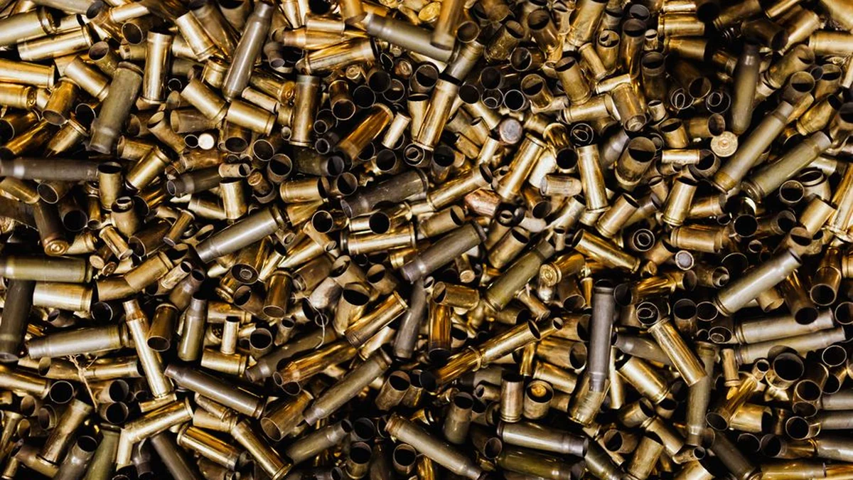 A gun with bullets found in Tauragė