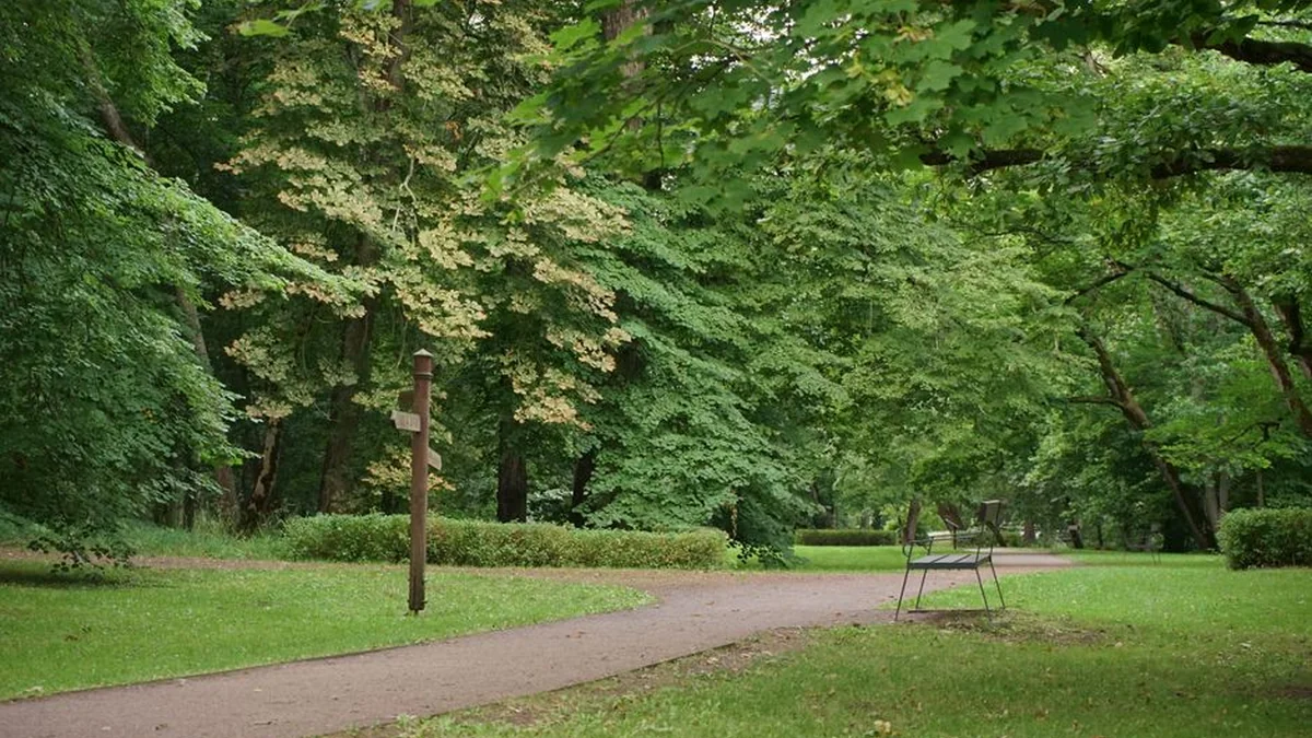 Istorines varžybas Vilniuje atidarys Virgilijaus Aleknos ir Romo Ubarto metimai