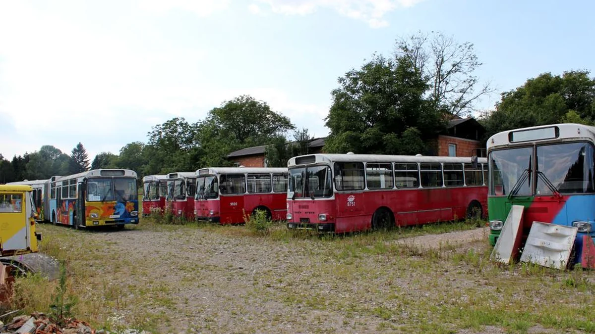 Po kratų pas „aušriečius“ pasipylė Seimo narių reakcijos: „Niekas Lietuvoje dėl to nenustebo“(5)