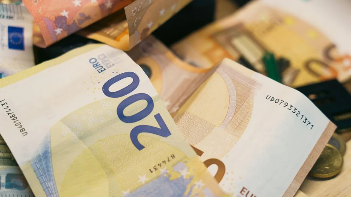 Vilvi Group does not stop: profit grows and continues